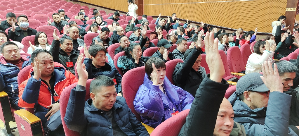大祥区政协五届六次会议胜利闭幕蔡治军当选为区政协五届委员会主席(图9)